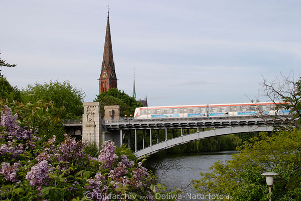 Hamburg Uhlenhorst Fliederblüte an Kuhmühlenteich St.Gertrud-Kirche U-Bahnbrücke