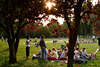 Picknick auf Alsterwiese in Hamburg Park Mädels & Jungs Treffen bei Sonnenuntergang