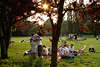 Picknick auf Alsterwiese bei Sonnenuntergang Hamburger Mädels Jungs Freizeittreff Natur am Seeufer