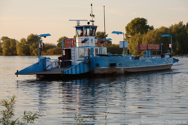 Elbfahrt Wassertour Flussufer-Schiff Bleckede-AmtNeuhaus Fhre Foto in Abendlicht