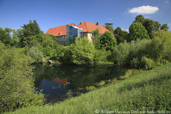 Schloss Bleckede Naturidyll Frhlingsgrn um Wasser Aue Landschaftsbild
