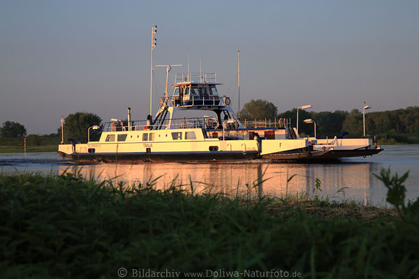 Elbfhre Darchau / Amt Neuhaus Auto-Passagierschiff Flussfahrt