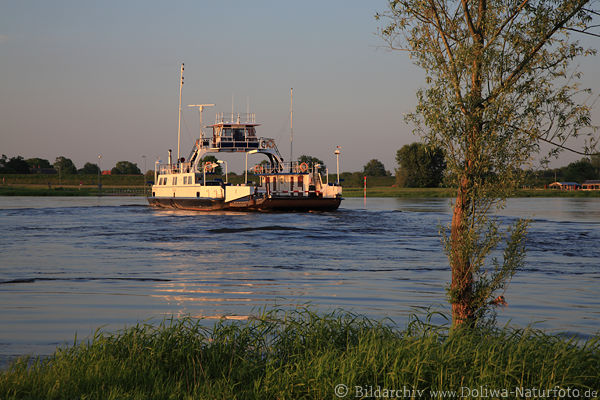 Elbe-Fhre Darchau Schiff-Kurs Wasserberfahrt