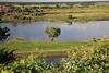 201117_Elbufer Talauen um Wasserfluss grne Landidylle Weitblick Naturfoto von oben