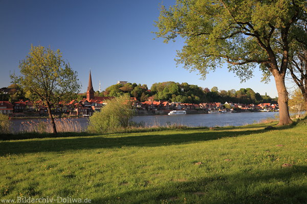 Elbpanorama Lauenburg Flussufer Frhlingswiese Lichtstimmung Wasserblick Naturfoto