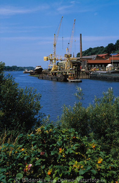 Hitzler Werft Lauenburg am Elbufer