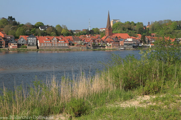 Lauenburg Elbe Schilfufer Grasland Wasserblick 