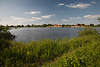 108472_Stiepelse am Wasser Elbufer Elbe grüne Flußlandschaft Naturfoto