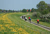 Deichweg Radler Frhlingsblte bei Artlenburg Elblandschaft Naturfoto gelbe Blumenkulisse