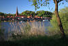 1800301_Naturidyll Lauenburg Wasserufer Elbe Schilf Lichtstimmung Naturfoto