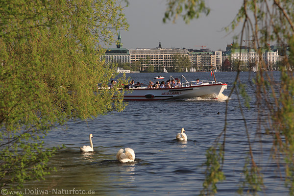 Alster-Cabrio Boot Wassertour in Hamburg