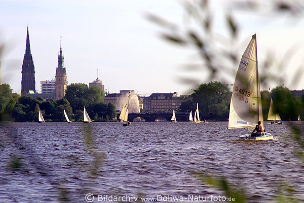 Segelboote Regatta in Wasser Alstersee vor Hamburg Kirchturm & Rathaus