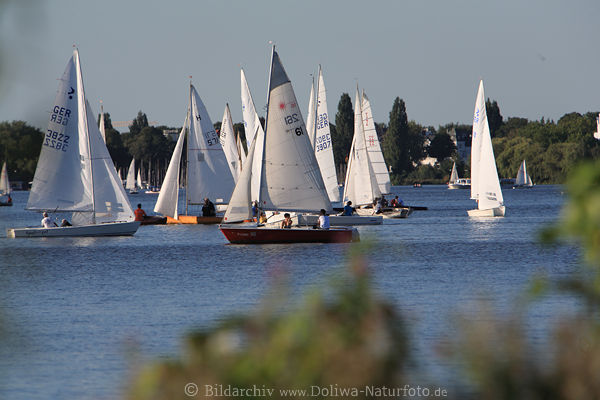 Hamburg Alster-Segler Wasser Boote segeln See-Landschaft