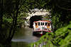 Schiff Alsterschippern im Wasserkanal Hamburg grüne Naturidylle Bild vor Brücke