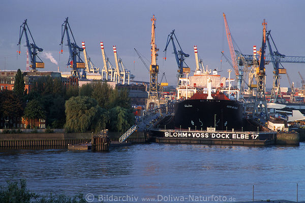 Schiff in Blohm+Voss Trockendock Elbe 17 Werft Krne in Hafen Morgenlicht