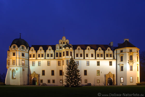 Schloss Celle Nachtpanorama mit Weihnachtsbaum Foto Palast Fassade vor Blauhimmel Bild
