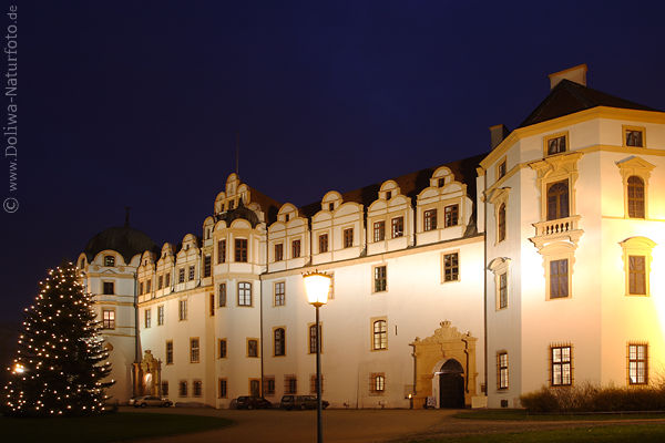 Schloss Celle Weihnachtsbaum Nachtfoto Advent Kerzenlichter Architektur Perspektive Panorama