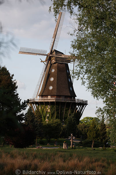 Mhle Sanssouci Galerie-Hollnder Gifhorner Mhlenmuseum Dorfplatz Windmhlenpark