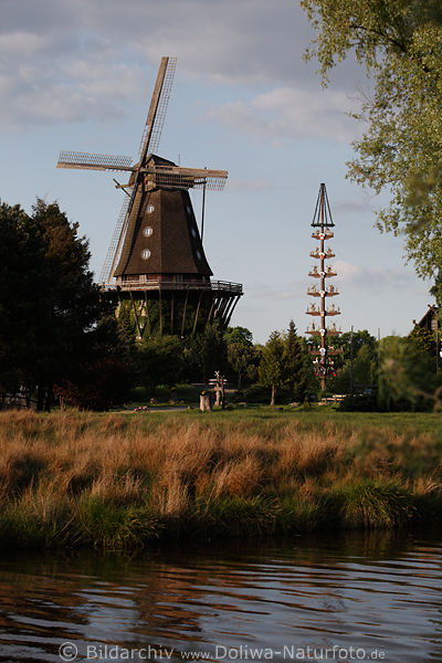 Mhle Sanssouci auf Gifhorner Museum-Dorfplatz mit Mhlenbaum