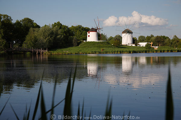 Museumsgelnde Mhlensee Wasserlandschaft Foto mit Mhlen Paar Spiegelung im Wasser