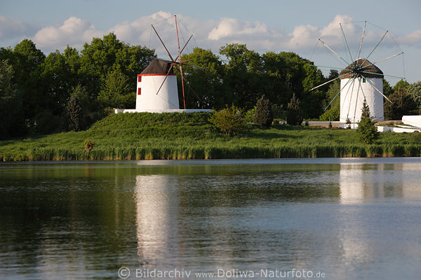 Weie Windmhlen Fotografie am Wasser von Gifhorner Mhlensee, Seenlandschaft Bild