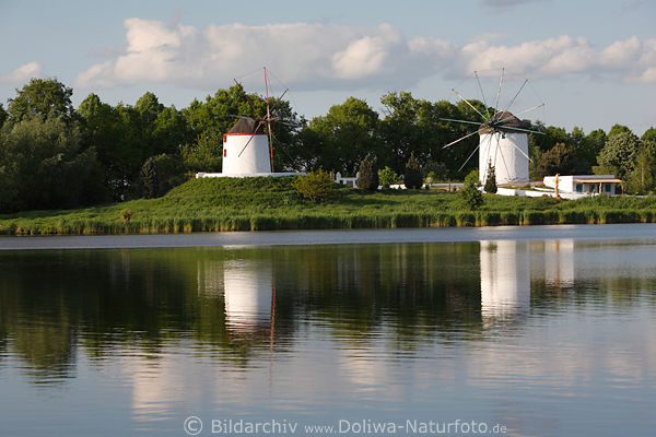 Weie Mhlen Fotografie von Gifhorn Landschaft am Wasser Mhlensee Windmhlen Spiegelung