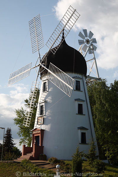 Lady Devorgilla Foto Mhle aus Gifhorn weisse Windmhle Denkmal an Lneburger Strasse
