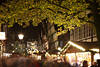 Celle Weihnachtsmarkt-Gasse Nachtfoto Altstadtallee unter Baum historische Fachwerkhäuser Adventlichter