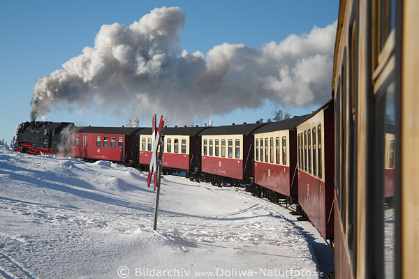 Brockenbahn Kurvenfahrt Winterfoto durch Schneelandschaft Dampflok 6 Wagons in Volldampffahrt