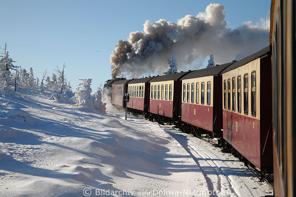 Harz Brockenbahn Winterfoto Dampfreise durch Schneelandschaft