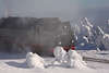 101898_Harz Dampflok Winterfahrt durch Schneelandschaft Skulpturen