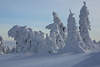 101316_Schnee Naturkunst am Brocken Winterbild Harz frostiger Winterzauber