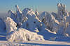 101936_Brockentannen Harz skurrile Wintergestalten aus Schnee Romantik Winterzauber Naturfotos