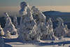 101955_Baumhexen skurrile Schneegestalten Naturporträt Brockenlandschaft Harz Winterzauber Naturfotos