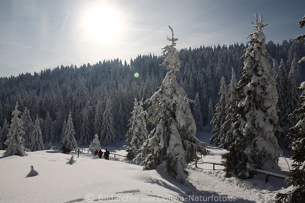 Wintermrchen Harz Schnee Naturfoto Sonnenschein Wanderer auf Winterweg