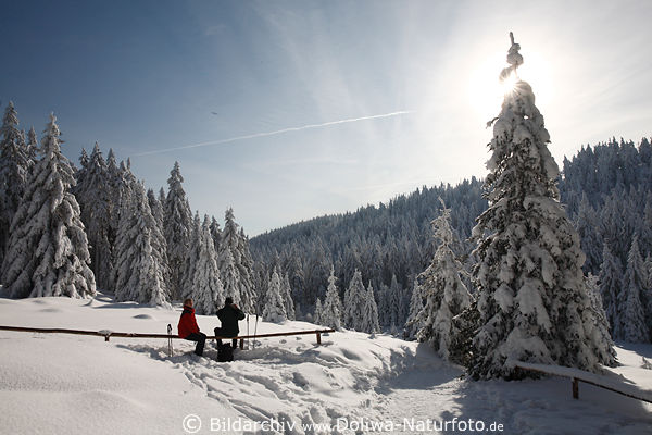 Harz Winterlandschaft Urlauber in Schnee Tannen Wald Sonne Romantik Naturidylle