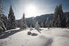 101249_Sonne über Schnee Winterlandschaft Naturbild Harzer Tannen