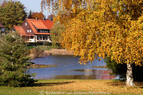 Bad Grund Goldenherbst Naturfarben Harz Bergstadt Laub um Birke Teichwasser