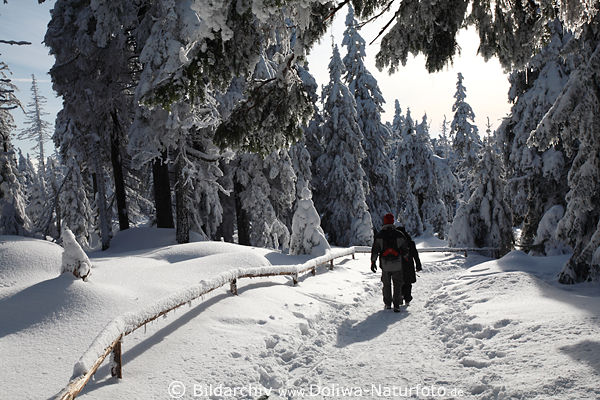 Schneewanderer in Harz Winterlandschaft Natur Waldweg Paar unter Fichten & Tannen