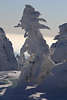 101926_Harzer Schneekrieger Schneegestalt Winterbild am Brocken, skurrile Gestalt eines Kriegers aus Schnee, Frost am Baum & Rauhreif