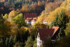 Harz Bergstadtidylle Feriendorf Bad Grund Hausdächer im goldenen Herbstwald