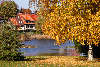 Bad Grund Goldenherbst Naturfarben Foto Harzer Bergstadt Laub um Birke Teichwasser