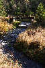510655_Bergbach fließendes Wasser in Kurve unter Holzbrücke Naturfoto Harzreise in bunten Herbst