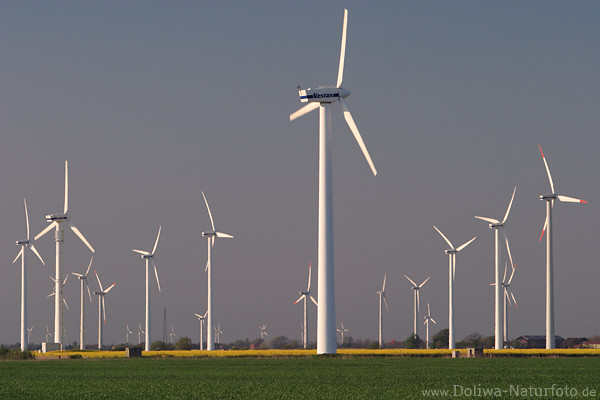 Windpark Windmhlen-Landschaft Dithmarscher Marsch Windkraftwerke
