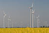 701178_ Dithmarschen Windkraftwerke Landschaft-Park Bild, Marschland Windmühlen über Rapsfeld, Mühlen