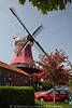 802549_Schoof-Mhle Foto Greetsieler Postkartenmotiv lilarot Galeriewindmhle Frhlingsbild Windflgel ber Baumblte