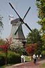 802552_ Windmhle in Greetsiel ber Bumenblte in Frhling Foto & Paare in Ostfriesland Urlaub Spaziergang