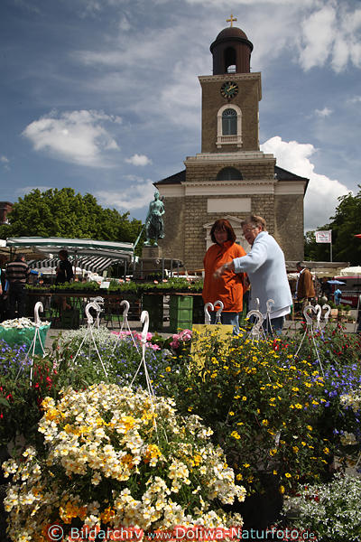 Husum Wochenmarkt Foto Frauen bewundern Blumen vor Marktkirche
