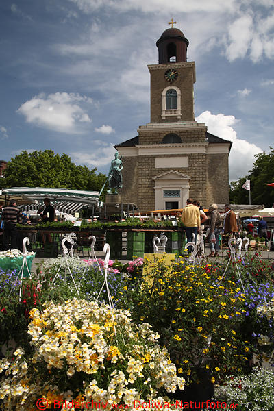 Husum Denkmler Fotos Marienkirche Bild Dnemark Stil thronend ber Husumer Markt Blumenstnde
