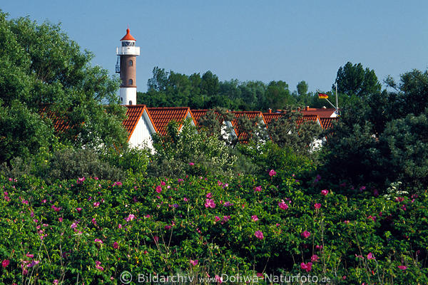 Timmendorfer Leuchtturm in Blumenpracht am Meer Insel Poel Aussichtsturm